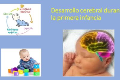impacto de experiencias infantiles en el desarrollo cerebral