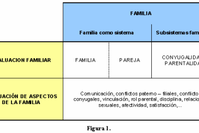 impacto de la evaluacion familiar en la conducta individual