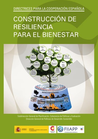 impacto de la resiliencia en el bienestar general