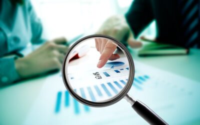 impacto de la transparencia en decisiones de instituciones