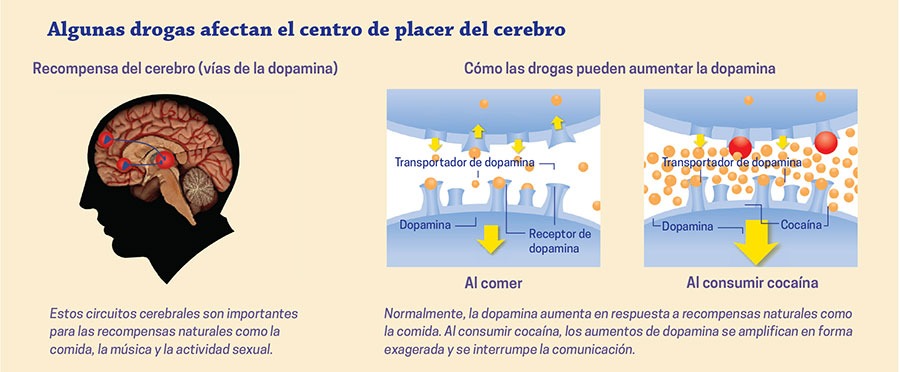 drogas