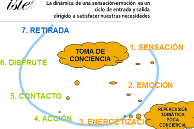 impacto de los ciclos emocionales en nuestra vida diaria
