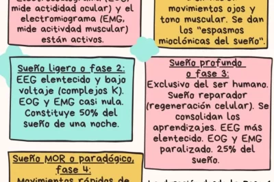 impacto de los suenos en la comprension de la personalidad humana
