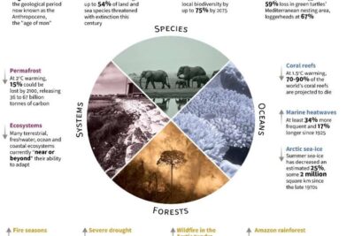impacto del clima en la adaptacion de organismos y ecosistemas
