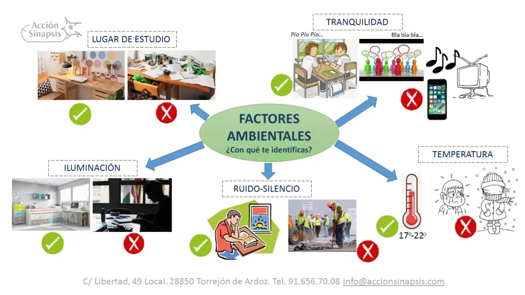 impacto del entorno en la conducta humana factores y ejemplos