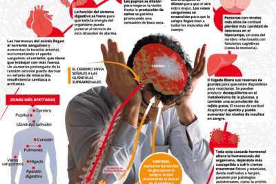 impacto del estres en la salud fisica general y sus conexiones