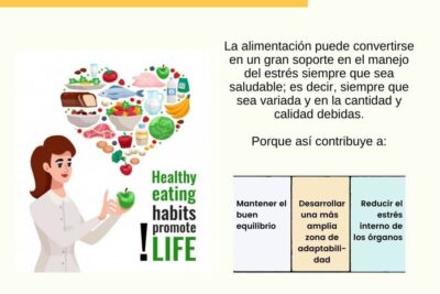 importancia de la alimentacion en el manejo del estres