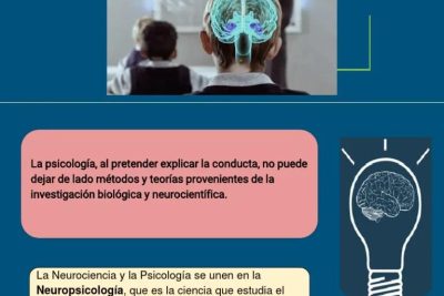 importancia de la neurociencia en la terapia psicologica