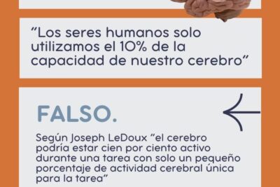 influencia de creencias en el funcionamiento cerebral