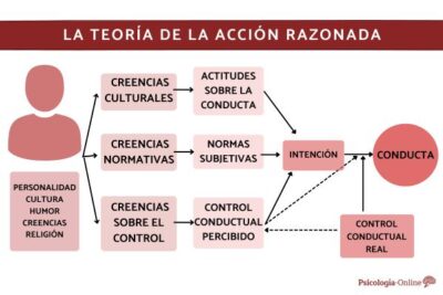 influencia de creencias en la conducta humana analisis profundo