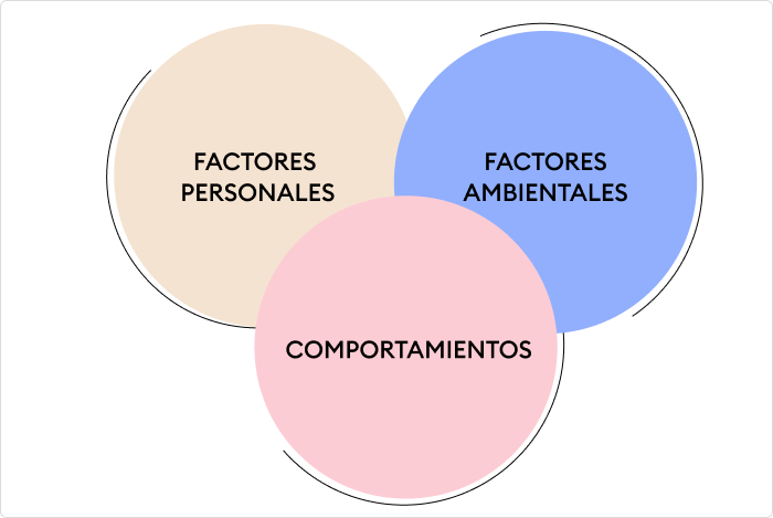 influencia de la experiencia academica en la conducta personal