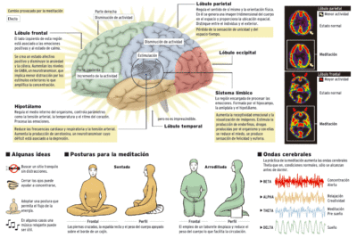 influencia de la meditacion en la cognicion y el cerebro