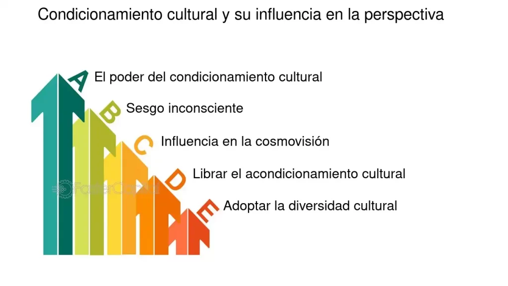 influencia de marcos de referencia en percepcion y decisiones