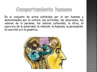 influencia de normas culturales en el comportamiento social y personal