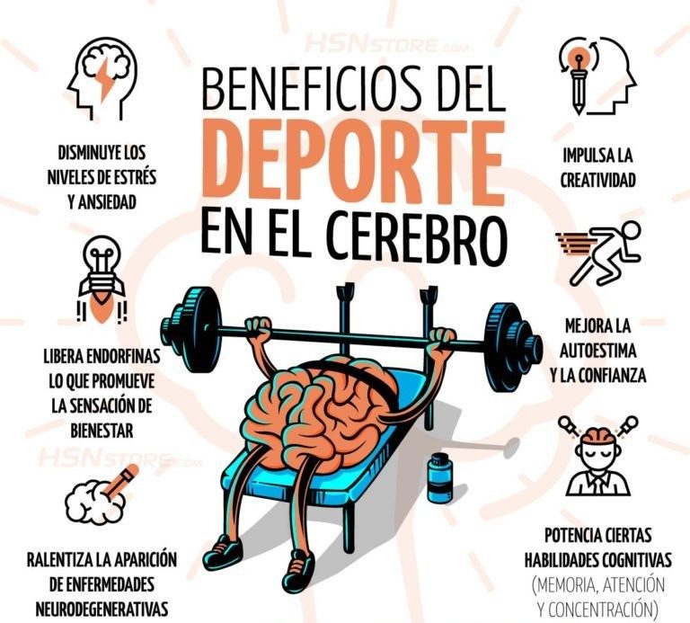 Influencia del deporte en la cognición humana: Beneficios y efectos 1 influencia del deporte en la cognicion humana beneficios y efectos