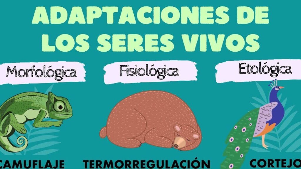 Influencia del entorno en la adaptación y evolución de seres vivos 1 influencia del entorno