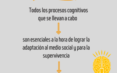 influencia del entorno en los procesos de cognicion humana