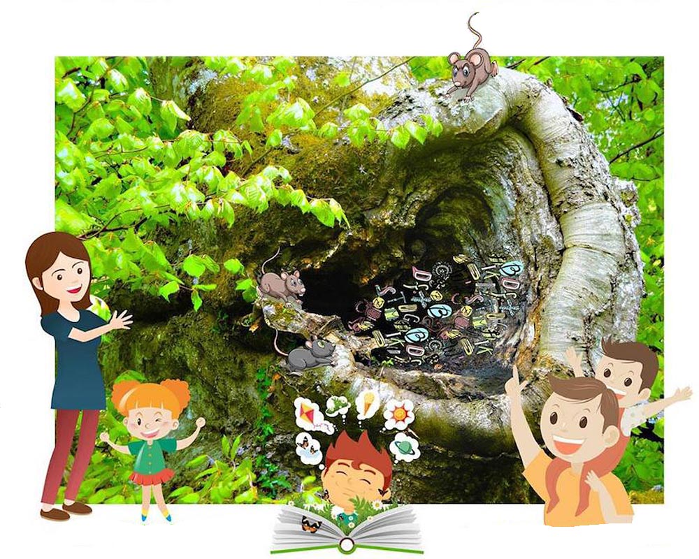 influencia del entorno y la naturaleza en tu estilo creativo