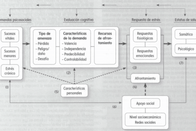 influencia del estres en conflictos analisis y perspectivas clave
