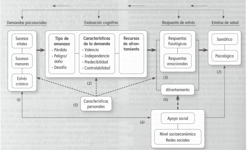 influencia del estres en conflictos analisis y perspectivas clave