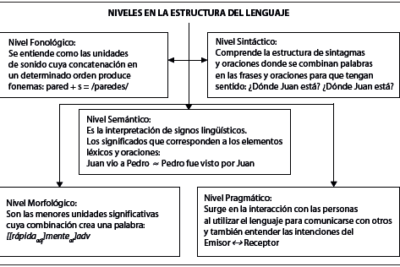 influencia del lenguaje en la toma de decisiones un analisis
