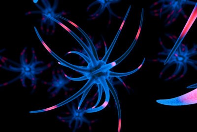 influencia genetica en la adaptacion de organismos al entorno