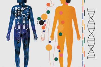 influencia genetica en la formacion de la personalidad humana