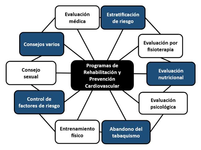 influencia y factores en el proceso de rehabilitacion efectiva