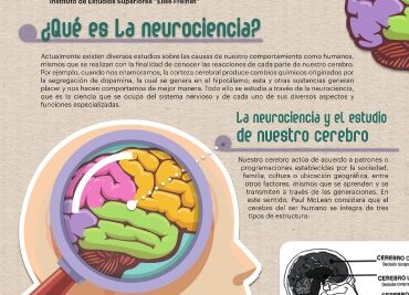 influencia y neurociencia el cerebro y nuestras decisiones