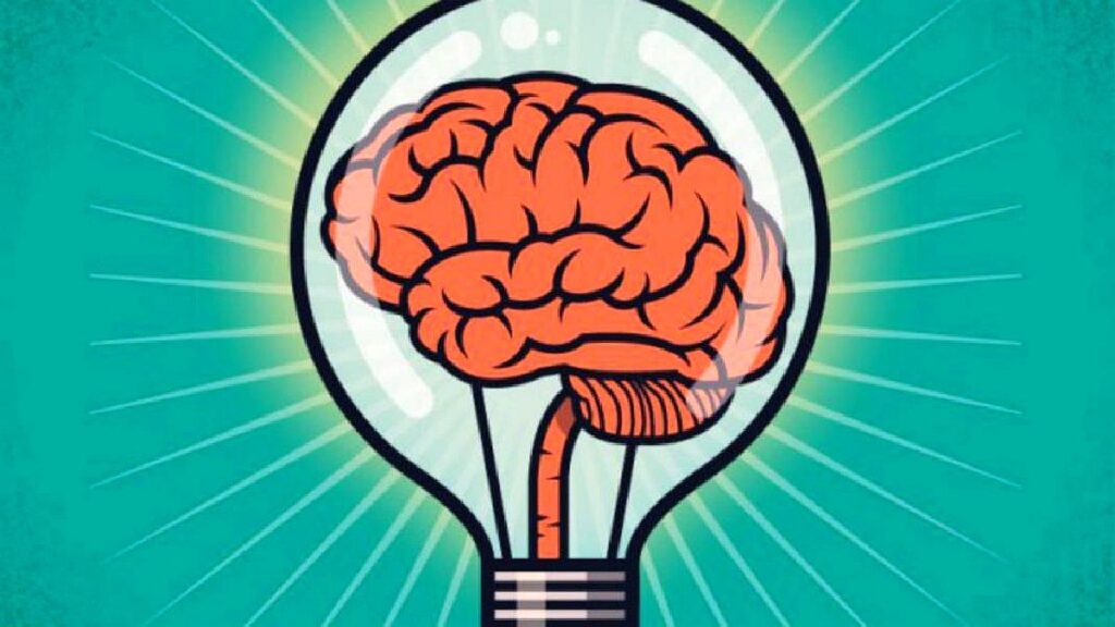 influencia y neurociencia en decisiones cotidianas del ser humano