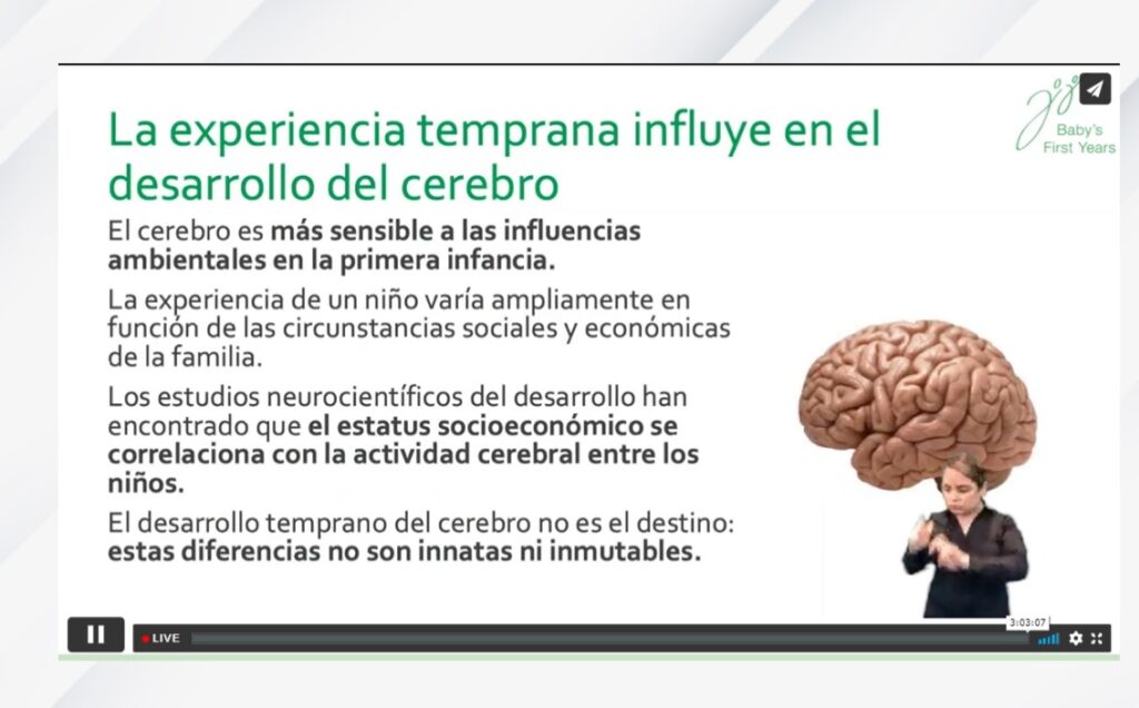 influencias de las experiencias en el desarrollo cerebral