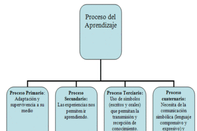 interaccion entre lenguaje y aprendizaje en educacion