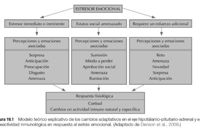 intervenciones psicologicas en el manejo del estres