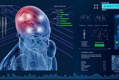 investigaciones actuales en neurociencia sobre la memoria a largo plazo