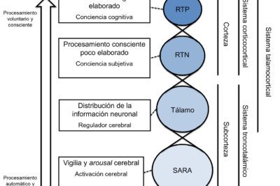 investigaciones sobre la consciencia desde la neurociencia
