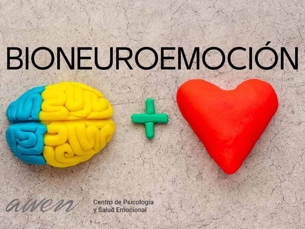 la bioneuroemocion y su relacion con la personalidad