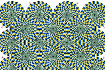 la ciencia detras de como se genera la percepcion del movimiento