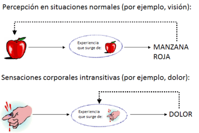 la compleja percepcion del dolor y su impacto en los sentidos