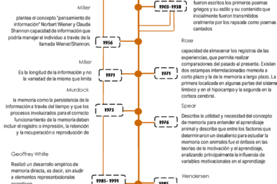 la evolucion de la memoria a lo largo de la historia humana