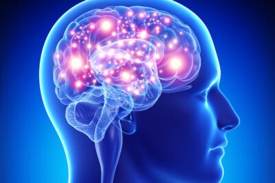 la importancia de la memoria en el desarrollo personal y emocional