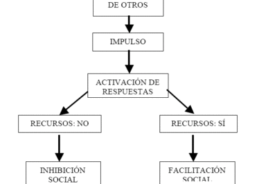 la influencia de la motivacion en la cognicion analisis detallado