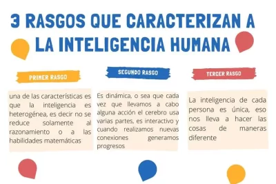 la intrincada relacion entre la personalidad humana y el iq
