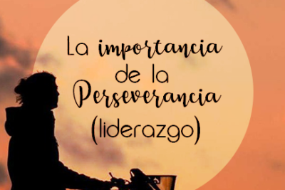 la perseverancia y su importancia en la influencia y poder