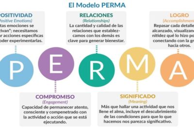 la personalidad es un factor determinante en la felicidad