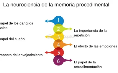 la repeticion y su papel en el fortalecimiento de la memoria