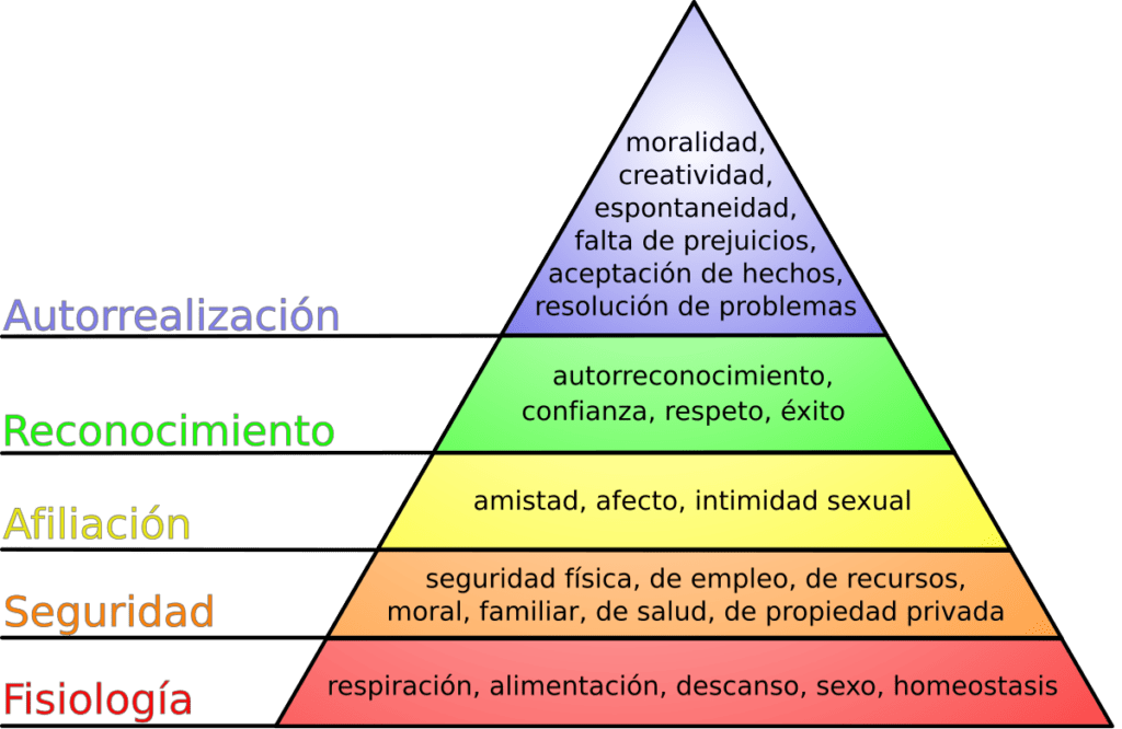 la riqueza de la personalidad en la experiencia humana