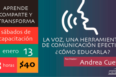 la voz en la comunicacion efectiva su importancia y rol fundamental