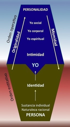 las personalidades se infunden entre individuos