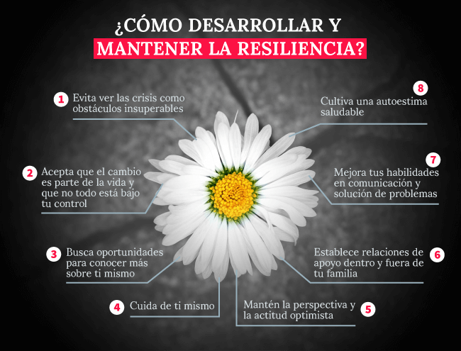 lecciones valiosas sobre resiliencia de experiencias ajenas