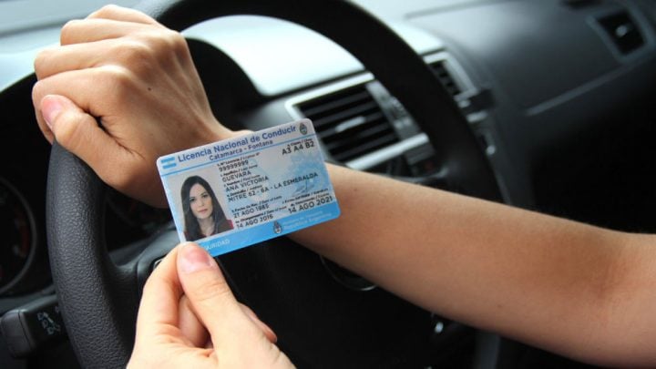 licencia de conducir alemana guia completa para